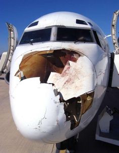 0fe5fe4e4c4bfafffa56d3dacea81136--bird-strike-passenger-aircraft.jpg Bild 0fe5fe4e4c4bfafffa56d3dacea81136--bird-strike-passenger-aircraft.jpg nicht gefunden !