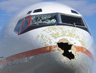 hail-damage.jpg Bild hail-damage.jpg nicht gefunden !
