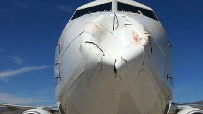 plane_vs_bird_2.png Bild plane_vs_bird_2.png nicht gefunden !